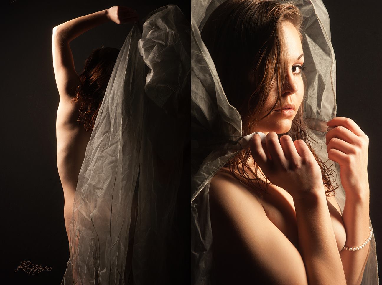 Editorial diptych with translucent fabric